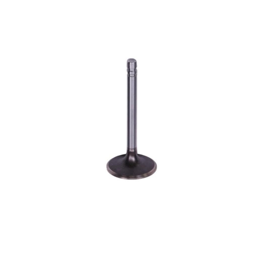 Engine Intake Valve For Chevy Express 1500 2500 3500 1996 To 2002 Steel 2 Lock Grooves 1 816 Head 0 342 In Stem