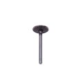 Engine Intake Valve For Chevy Express 1500 2500 3500 1996 To 2002 Steel 2 Lock Grooves 1 816 Head 0 342 In Stem