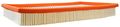 Fram Ca4309 Extra Guard Rigid Panel Air Filter 