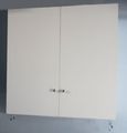 Garage Storage Cabinet Kit 4 Foot X with 8 Padded Hooks and 2 Ladder 