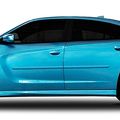 Dawn Enterprises Fe-charg11 Finished End Body Side Molding For Dodge Charger Mango Tango Pearl Vg 