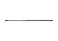 Strongarm 6441 Trunk Lift Support For Ferrari Mondial T 