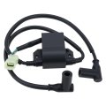 Carbo 420965757 Ignition Coil Assy For Ski-doo Skandic 380 500 600 Wt Es R L 154 156 Ii 377 503 Touring 440 Le Sle R F C 136 