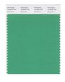 Pantone Smart 16-5930x Color Swatch Card Ming Green 