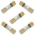 Dnf 5 Pack 60 Amp Agu Gold Plated Fuses Round Glass 
