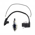 Ignition Coil 4244 400 1303 For Stihl Br350 Br350z Br430 Br430z Sr430 Sr440 Sr450 Backpack Blower 1307