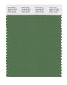 Pantone Smart 18-0119x Color Swatch Card Willow Bough 