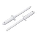 50pcs 3 16 X1 2 Round Head Blind Rivets Zinc-plated Carbon Steel Grip And Mandrel Cap White 