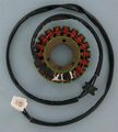 Ricks Motorsport Electric Stator 21-310 