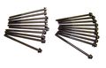 Hbk4150 Head Bolt Kit For 1991 To 2016 Ford 4 6l 5 4l V8 Sohc Dohc Engines Fits Avanti Lincoln Mercury Panoz Qvale Aiv Roadster 