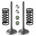 Caltric 2x Intake Valve Kit Compatible With Yamaha Yfz450v 2006 2007 5ta-12112-00-00 1wg-12118-00-00