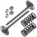 Caltric 2x Intake Valve Kit Compatible With Yamaha Yfz450v 2006 2007 5ta-12112-00-00 1wg-12118-00-00
