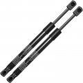 A-premium Rear Tailgate Lift Supports Shock Struts Spring Prop Compatible With Volkswagen Beetle 2013-2017 From 12 01 2013