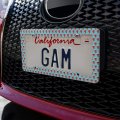 Stick Out Your Tongue License Plate Tag Frame