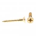 Prime-line Wood Screws Flat Head Phillips Drive 12 X 1-1 2 In Solid Brass 25 Pack