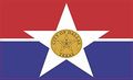 5in X 3in Dallas Texas Flag Magnet By Stickertalk 