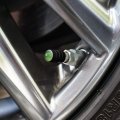 Kakapo The Flightless Owl Parrot Tire Rim Wheel Aluminum Valve Stem Caps