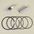 Cylinder Piston Kit Top End Repair Compatible With Honda Trx300 Trx 300 Fourtrax Fw 4x4 2x4 Four-wheel 1988-2000 Rebuild