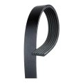 V Ribbed Serpentine Belt For Ford Aerostar 1990 1991 6 Rib 64 97 In Effective Length 0 807 Top Width Professional Standard 