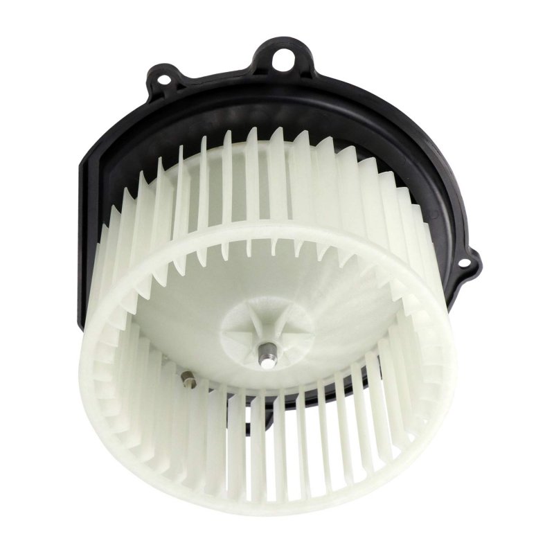 Hvac Blower Motor Assembly 700017 1f1z19805aa E8dz19834a 256250 Pm919 Heater With Fan Cage For 1996-2007 Ford Taurus 1996-2005