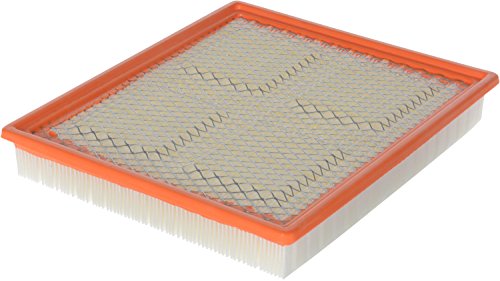 Fram Ca11251 Extra Guard Panel Air Filter