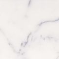 Honed White Carrara Marble 12x12 