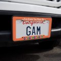 You Know Want Me Cute Cupcakes License Plate Tag Frame