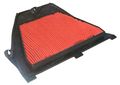 Hiflofiltro Hfa1616 Premium Oe Replacement Air Filter 