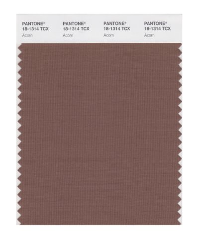Pantone Smart 18-1314x Color Swatch Card Acorn