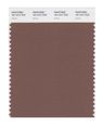 Pantone Smart 18-1314x Color Swatch Card Acorn 