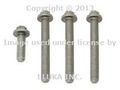 Bmw Genuine Cylinder Head Bolt Set Aluminum For 525i 525xi 530i 0xi 528i 528xi X5 0si 128i Z4 0i 3 3 30i 323i 325i 325xi 328i