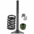 Caltric Intake Valve Kit Compatible With Yamaha 5ap-12111-01-00 3fa-12113-00-00 2hx-12119-00-00