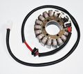 21-009 Stator For Powersports Vehicle Part Painted Finish 