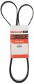 Motorcraft Drive Belt