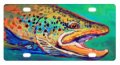 License Plate Brook Trout Fly Fishing Novelty Car Cover Decorative Front 12 X 6 