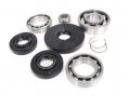 Front Differential Bearings And Seals Kit For Kawasaki Kvf300a Prairie 4x4 2001 2002 Includes 1 Needle Bearing 3 2 Snap Rings 
