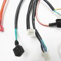 Tomberlin Pitbike 90cc 110cc Main Wiring Harness New Oem
