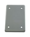 Carlon Lamson Sessons E980cn-car Single Gang Blank Box Cover 