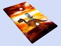 Fossil Fuel Decorative Switchplate Cover 