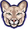 Stickertalk Cougar Mascot Vinyl Sticker 3 75 Inches By 4 