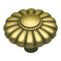 Beaded Classic Knob Set Of 10 Winchester Brass 