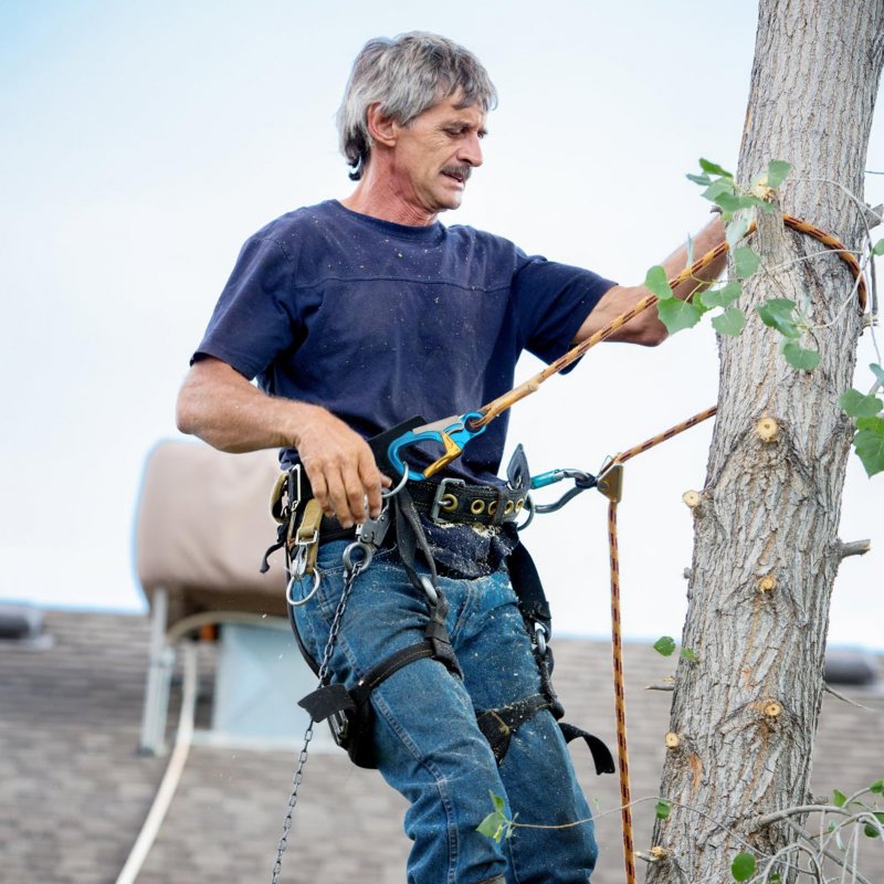 Climbing Safety Lanyard Adjustable Positioning Fall Protective Rope And Professional Belt For High Altitude Tree Engineering