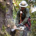 Climbing Safety Lanyard Adjustable Positioning Fall Protective Rope And Professional Belt For High Altitude Tree Engineering