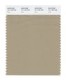 Pantone Smart 16-1108x Color Swatch Card Twill 