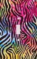 Rainbow Zebra Skin Print Decorative Switchplate Cover 