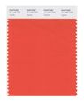 Pantone Smart 17-1456x Color Swatch Card Tigerlily 