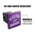 City College Of New York Beavers Logo Tow Trailer Hitch Cover Plug Insert 2