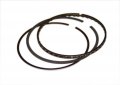 Evergreen Rs4042hp 50 For Honda K20a Acura I-vtec Ring Set 