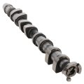 Intake Engine Camshaft For 2009 Chevrolet Aveo Aveo5 And Pontiac G3 Fits 55561747 Cp1693 Silver 