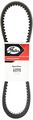 Gates 6098 Sportline Special Application Belt 